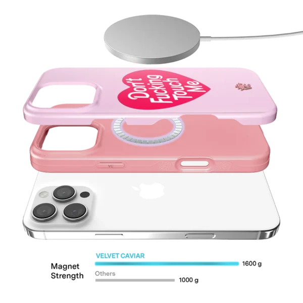Don't F Touch Me iPhone Case